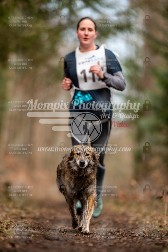 Reiat2023_SAM_CaniXRun_5km_W-58 | PayLife