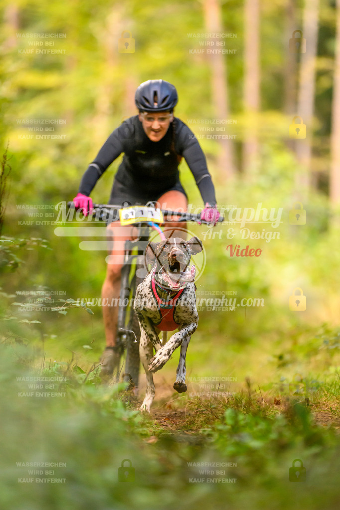 MompixPhotography_Yens2025_B2-25 | PayLife