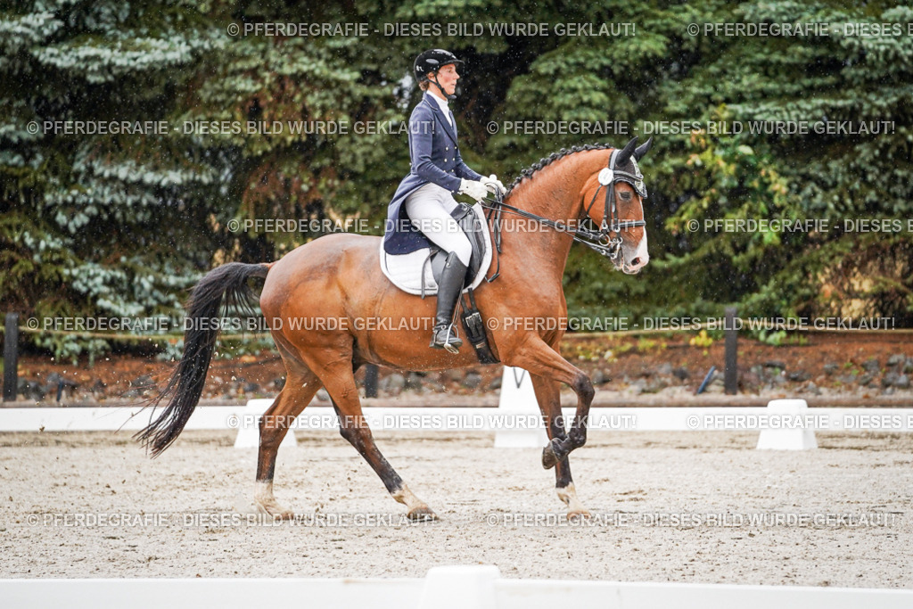 DSC08534 | Pferdegrafie