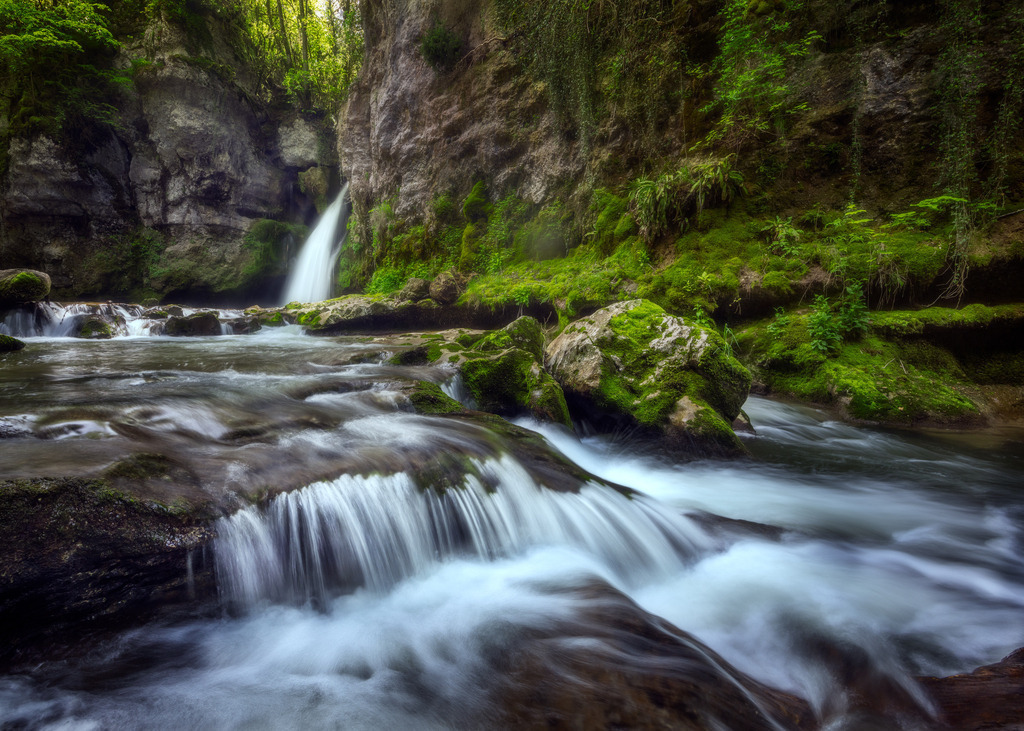 Swiss jungle | tobiasneyer - Realisiert mit Pictrs.com