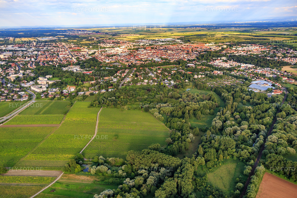 Luftbild: Ortsansicht von Nordosten in Landau in der Pfalz im Bundesland Rheinland-Pfalz in Deutschland. Foto: IMG_090185.jpg vom 26.06.2016 durch Werner Riehm/FLY-FOTO.de
