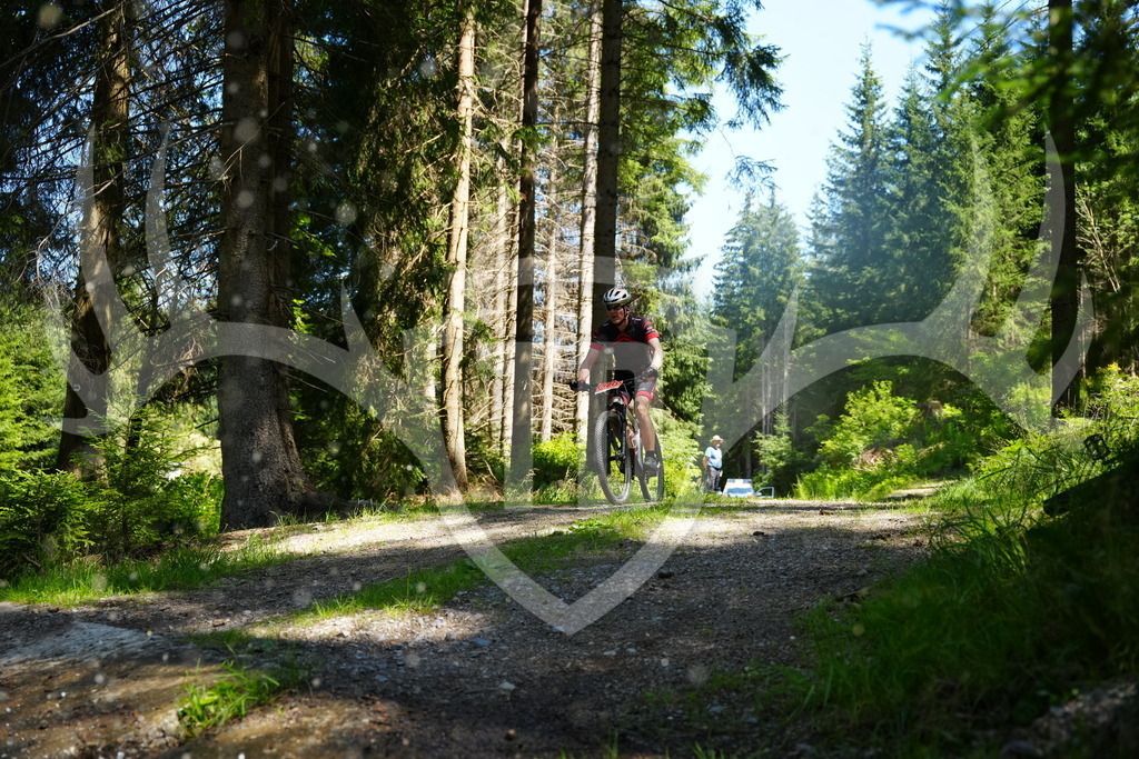 FC101835 | Fotogalerie der Treibjagd im Dunkelwald - Dein MTB Etappenrennen im Erzgebirge - Realisiert mit Pictrs.com
