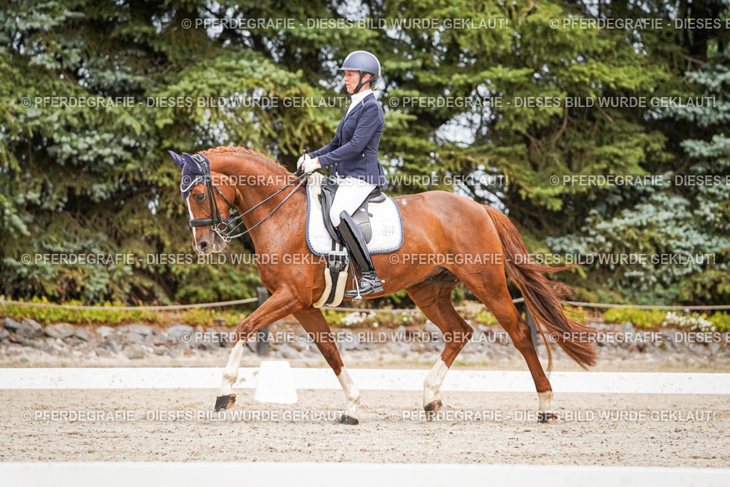 DSC05182 | Pferdegrafie