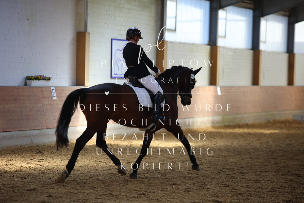 IMGT7286 | pl-fotografie