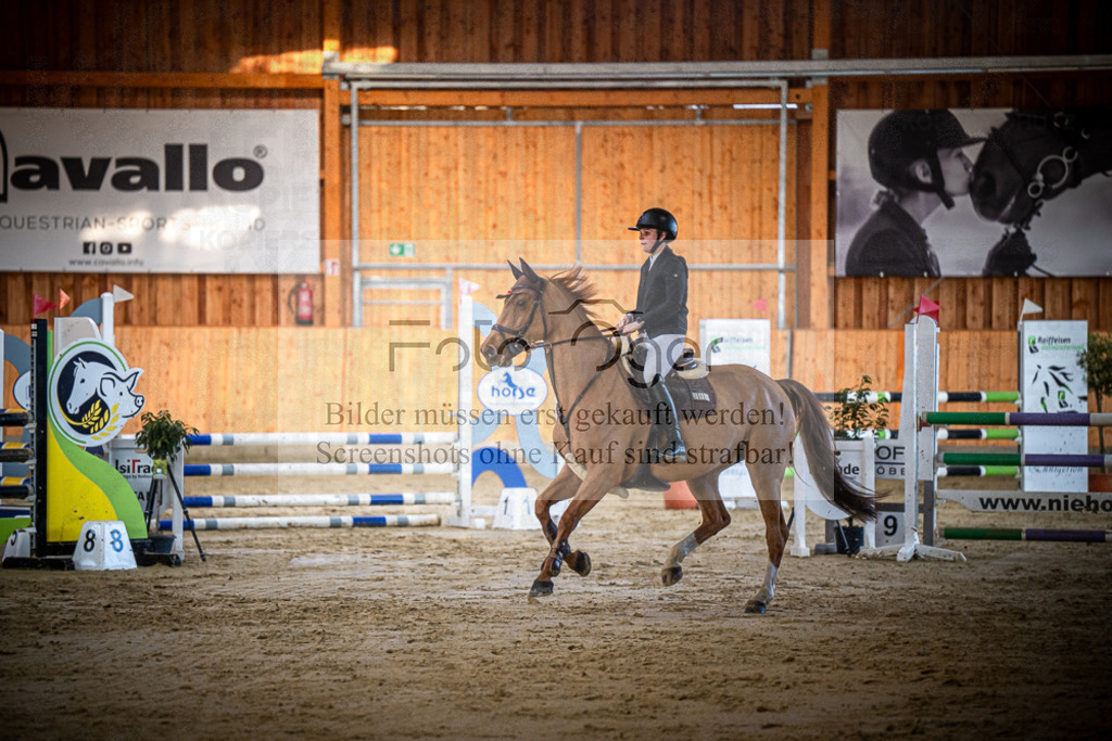 DOS_0586 | Entdecke hochwertige Reitturnierfotos von Foto Oger. Professionell, emotional und authentisch – jetzt Lieblingsmomente im Shop bestellen.Deutschlandweite Turnierfotografie. - Realisiert mit Pictrs.com