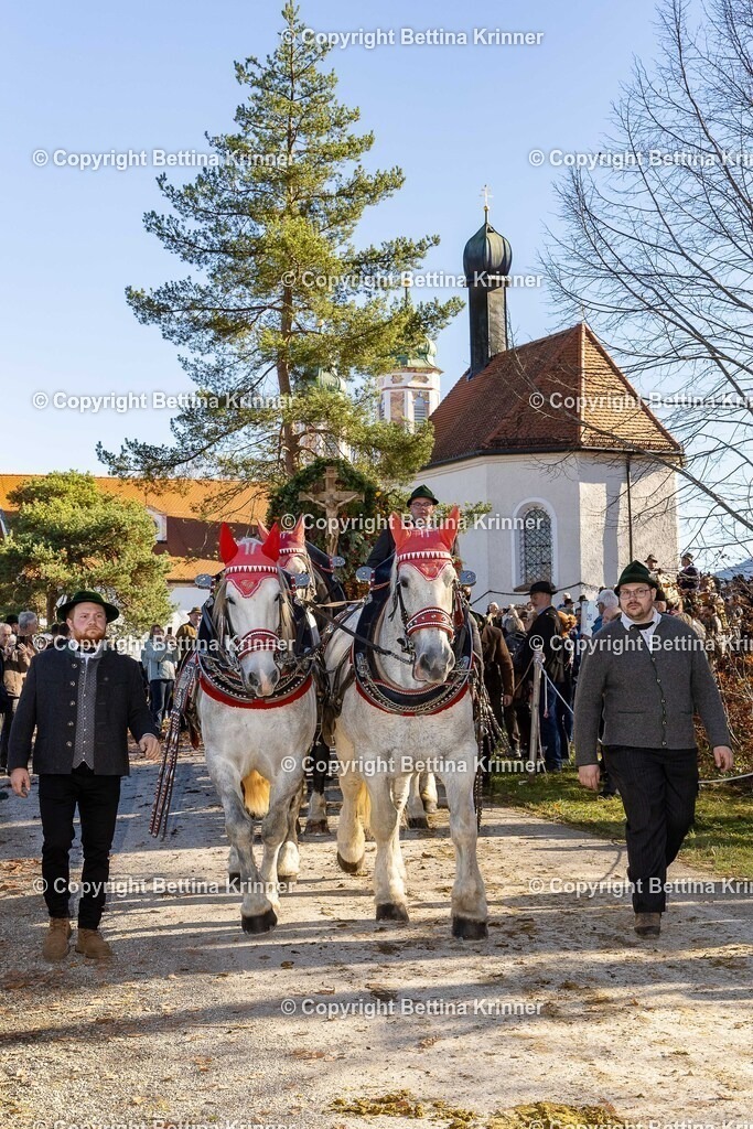 LBT25-1270 | foto-bettina-krinner - Realisiert mit Pictrs.com