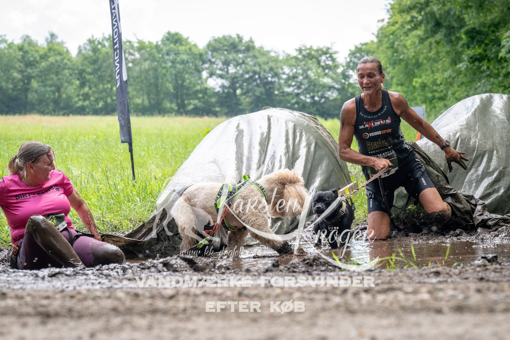 1106_ZZ91507 | kk-dogfotos