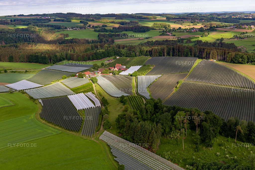 Luftbild:  im Ortsteil Altheim in Frickingen im Bundesland Baden-Württemberg in Deutschland. Foto: IMG_132047.jpg vom 26.05.2022 durch Werner Riehm/FLY-FOTO.de: Gemeinde Frickingen