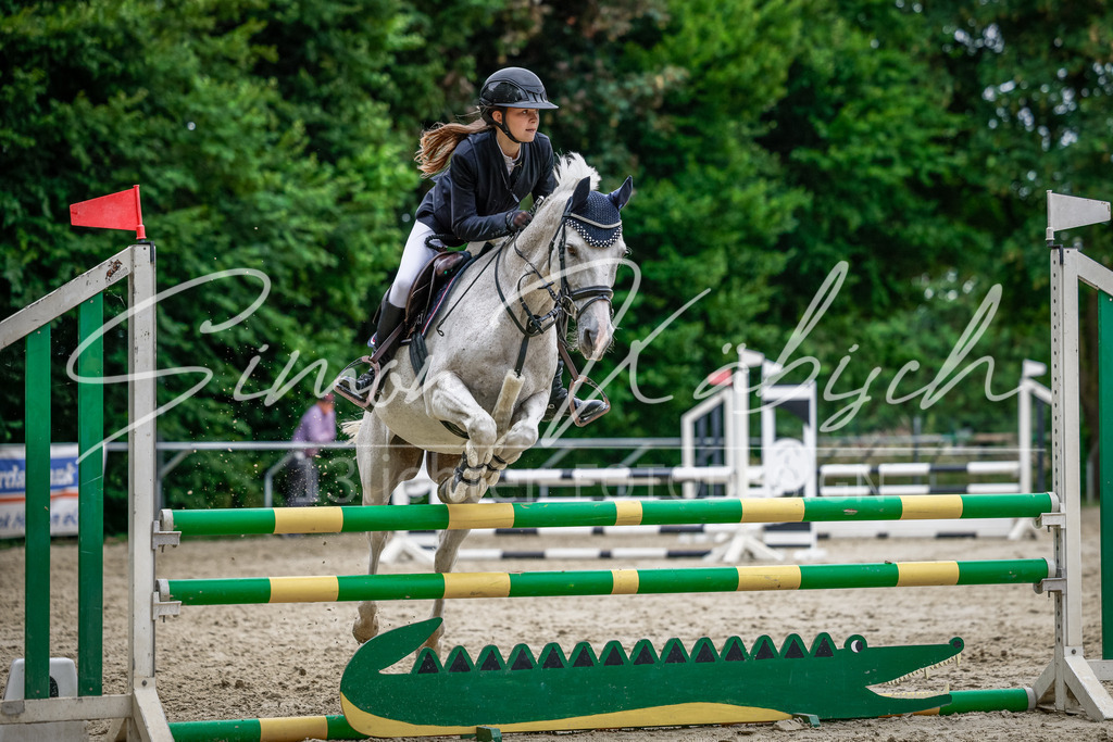 20250706-_3LI1918 | Tierfotografie Pferde, Hunde, Katzen, Haustiere.
Turnierfotografie Reitturniere, Reiten, Springreiten, Dressur in Hanau, dem Main-Kinzig-Kreis und dem Rhein-Main- Gebiet um Frankfurt