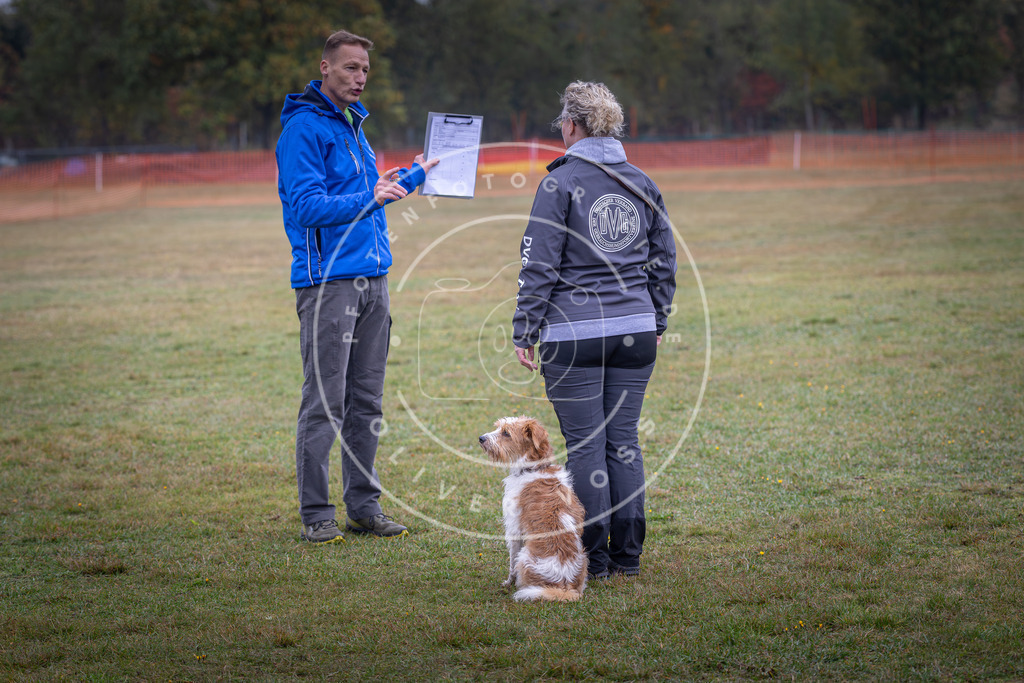 Pfotenfotografie_DV3A9181 | Hundefotografie, Tierfotograf, Pfotenfotografie, Fotoshooting Hund, Hunde Portrait, Hundesport, Hundeportraits, Heideshooting, Hunde, Sportfotograf, Hundefotograf, Turnierhundsport, THS,  - Realisiert mit Pictrs.com