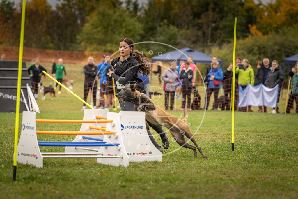 Pfotenfotografie_DV3A6057 | Hundefotografie, Tierfotograf, Pfotenfotografie, Fotoshooting Hund, Hunde Portrait, Hundesport, Hundeportraits, Heideshooting, Hunde, Sportfotograf, Hundefotograf, Turnierhundsport, THS,  - Realisiert mit Pictrs.com