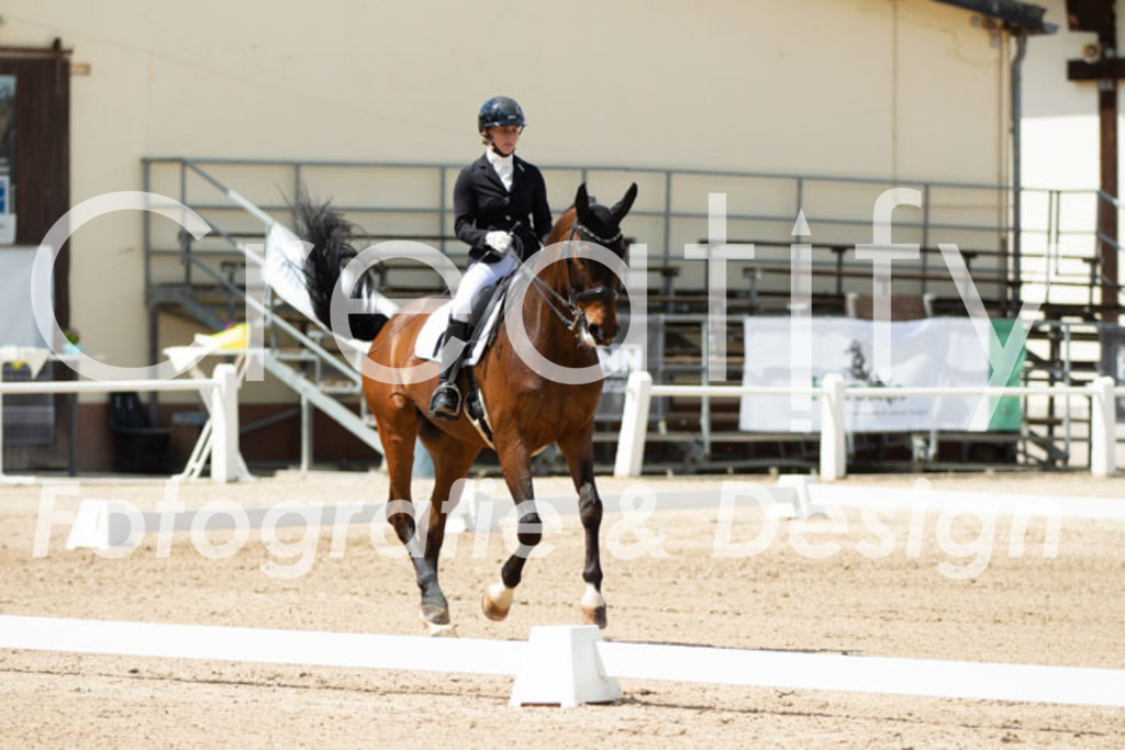 IMG_5802 | Creatify Fotografie