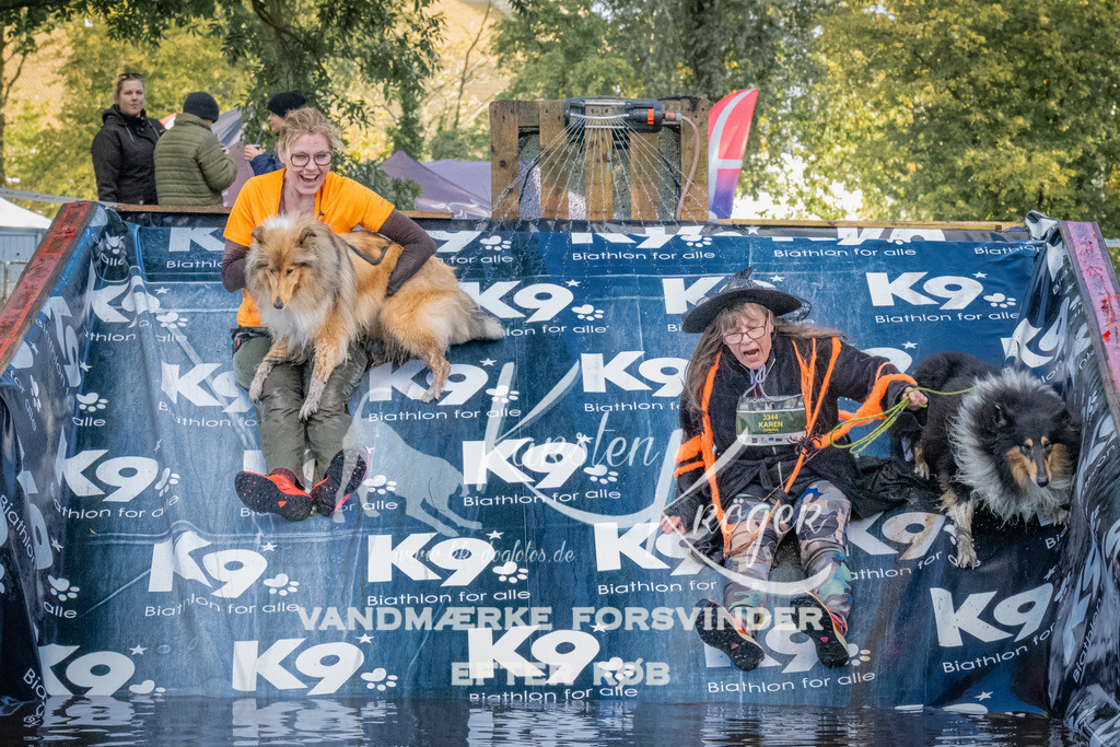 1557_ZZ91545 | kk-dogfotos