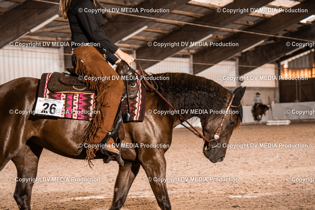 ZH100314 | dv-media-shop - Realisiert mit Pictrs.com