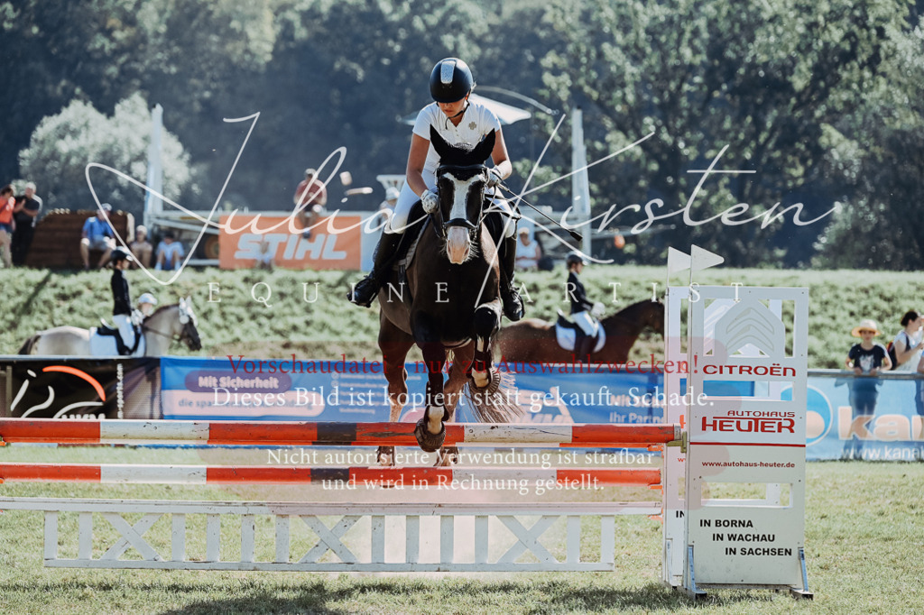 DSC_5892 | Pferde- und Turnierfotografie in Westsachsen. Pferdeportraits, Auftragszeichnungen und intuitive Kunst.