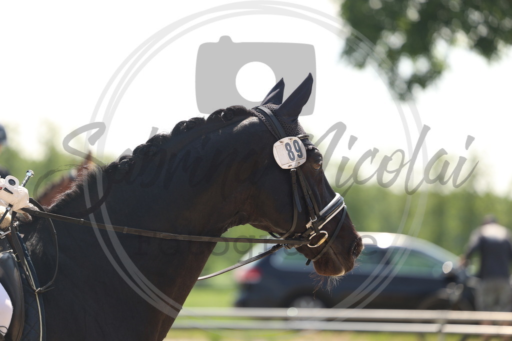 994A7099 | sabrinanicolaifotografie - Realisiert mit Pictrs.com