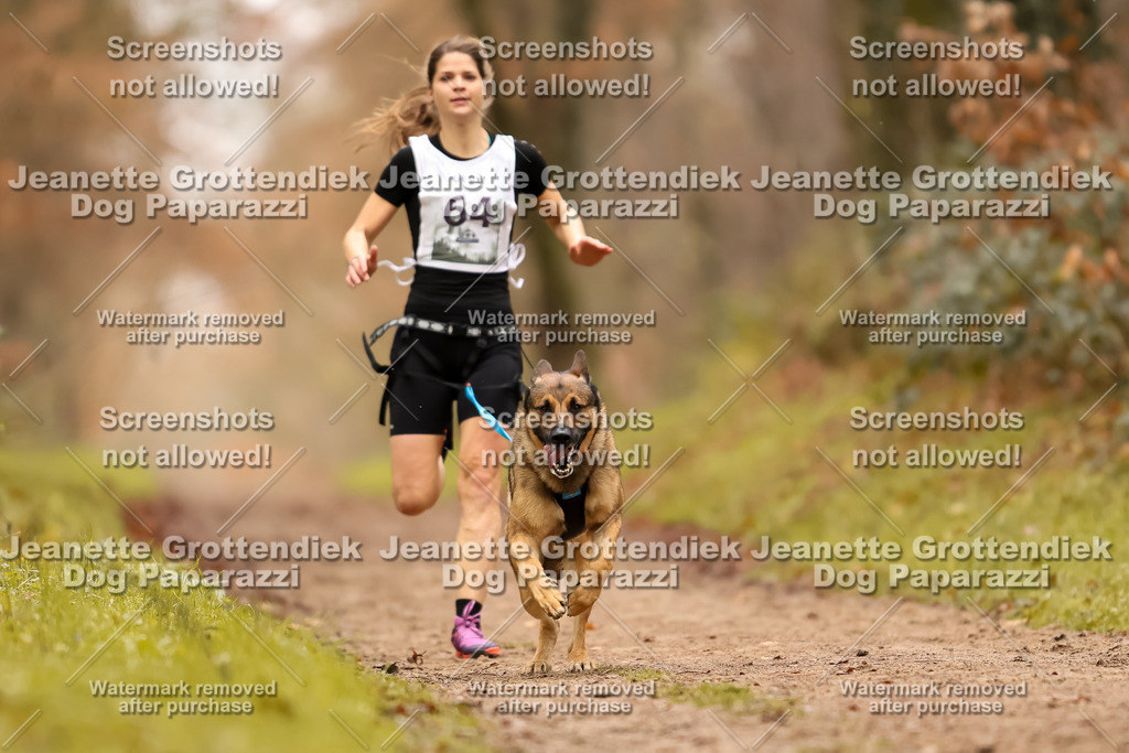 Dog Paparazzi - Speedhunter Mannheim  2025-192 | Dog Paparazzi Jeanette Grottendiek Fotografie & Videografie