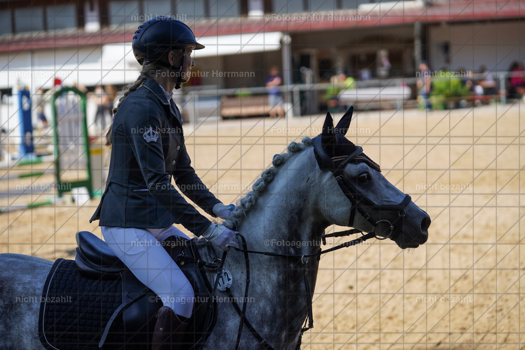 20240824-FAH07389 | Thierhaupten 2024, Bayerisches Landesponyturnier, Turnierbilder, Ponybilder, Turnierfotografen Bayern, Fotoagentur Herrmann