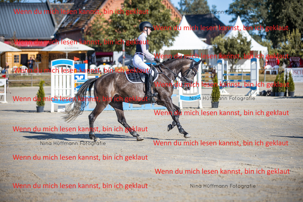 BK1A5949 | Turnierbilder Turnierfotos Nina Hüffmann Turnierfotografie Pferdefotografie Tierzeichnung Haustierzeichnung Pferdezeichnung Hundezeichnung Videograf  - Realisiert mit Pictrs.com