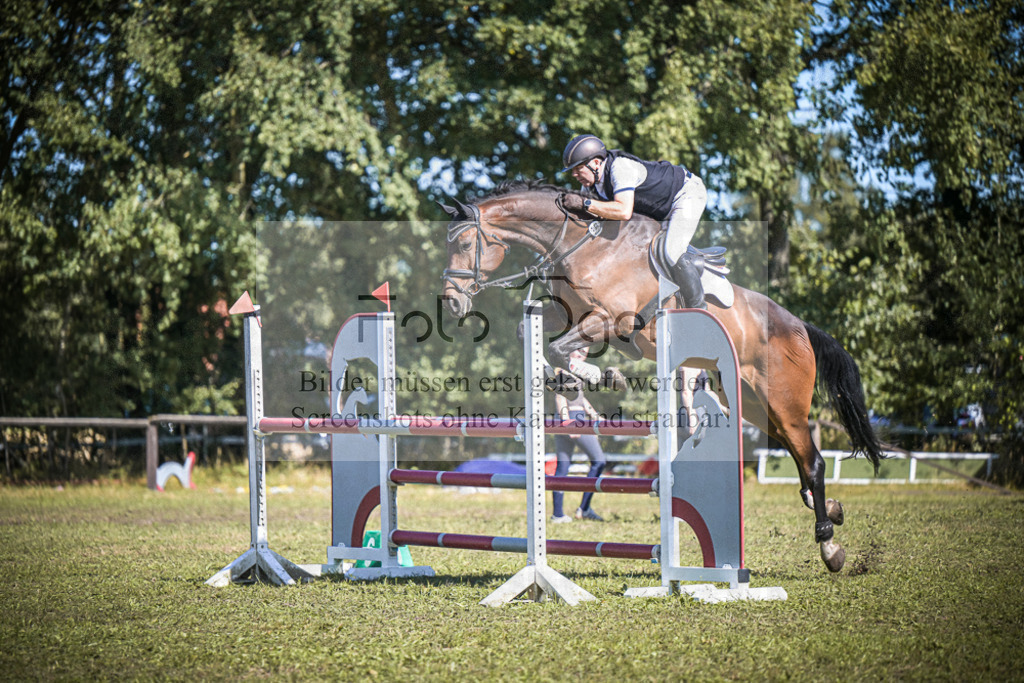 DOS_0205 | Entdecke hochwertige Reitturnierfotos von Foto Oger. Professionell, emotional und authentisch – jetzt Lieblingsmomente im Shop bestellen.Deutschlandweite Turnierfotografie. - Realisiert mit Pictrs.com