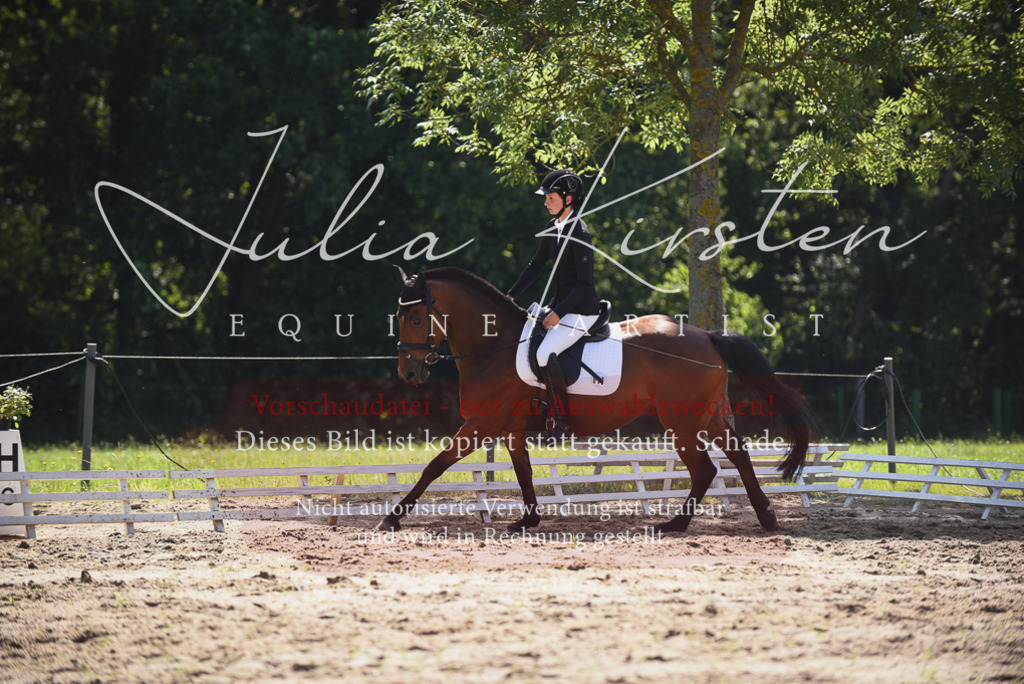 DSC_0501 | Pferde- und Turnierfotografie in Westsachsen. Pferdeportraits, Auftragszeichnungen und intuitive Kunst.