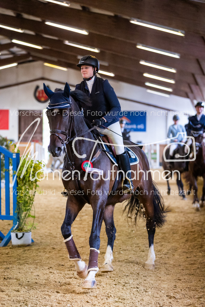 Sth-A-Springen-161 | MomenTaufnahmen Pferdesportfotos