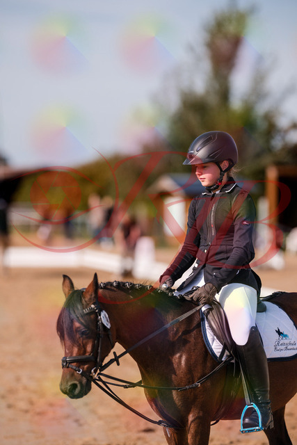 2026_10_03_Siefer-Hof_120520_Z81_07072848 | Professionelle Reitsport-, Turnier- und Eventfotografie von Robert Broda. Galerien mit ausgewählten und bearbeiteten Bildern direkt online ansehen und bestellen.
