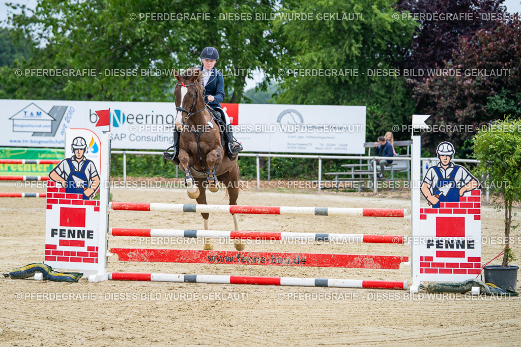 DSC03769 | Pferdegrafie