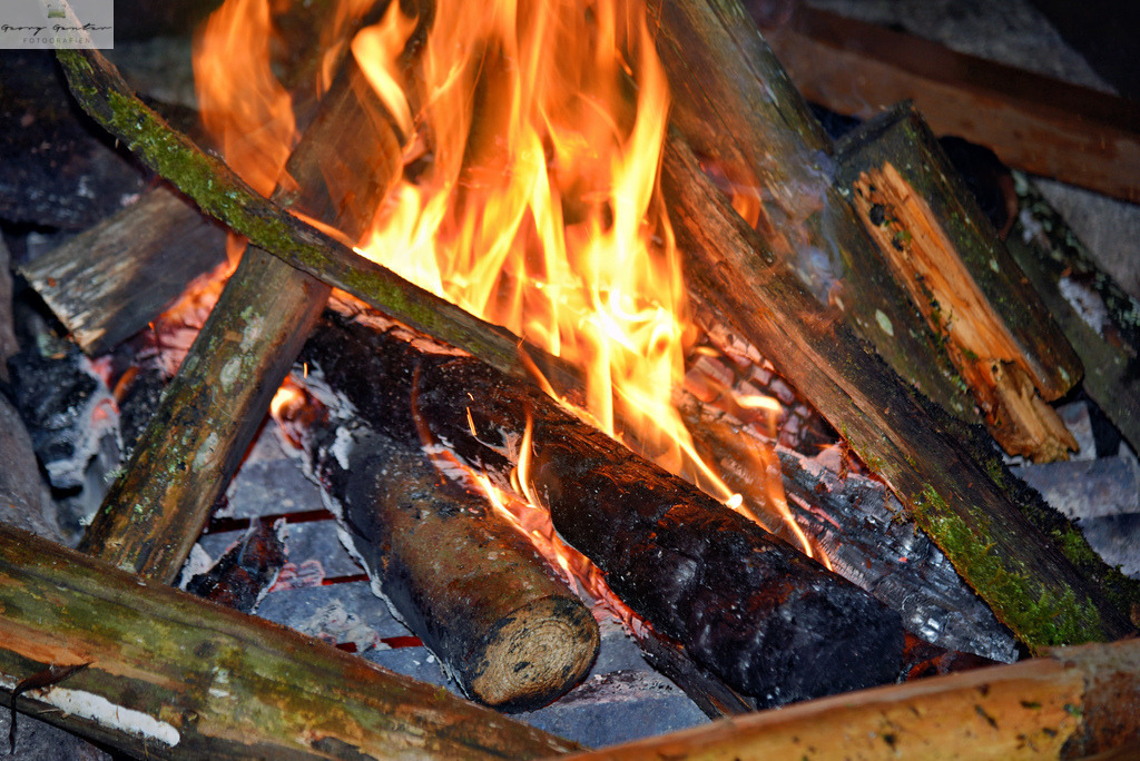 ZiPlaFe_23-39 | Fotoblog Schwarzwald, Foto Blog Wiesental, Pfaffenberg, Winterzauber, Zeller Bergland, Zell im Wiesental, Fotoblog Wiesental, Landschaftsfotos, Bilder Wiesental, Natur, Naturbilder, Fastnacht, Zeller Fastnacht, Zeller Fasnacht, Zeller Bergland, Belchen, - Realisiert mit Pictrs.com