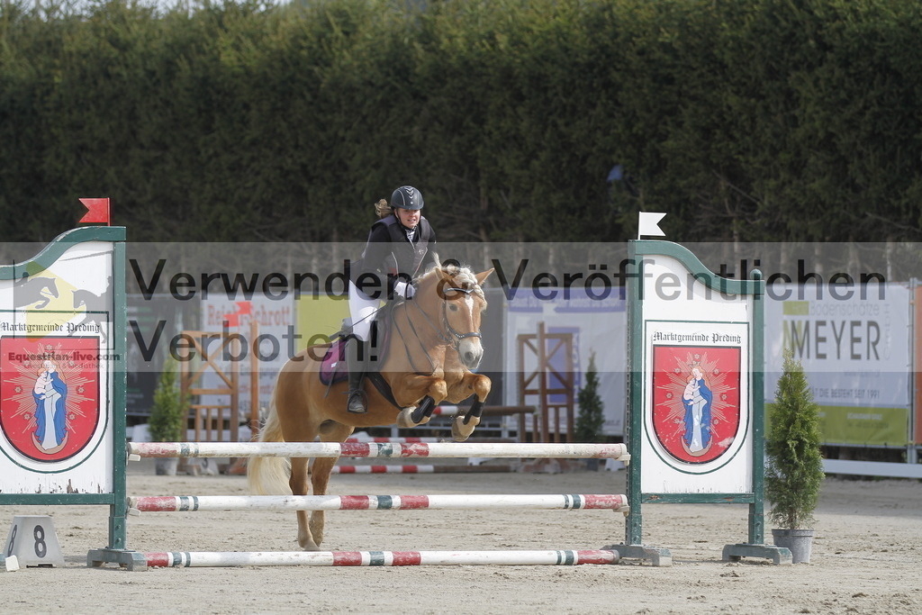 _MG_2914 | equestrian-live-com