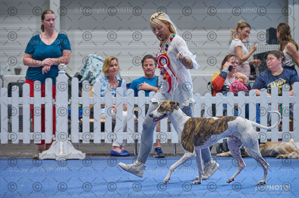 202406_ÖKV-IHA-Tulln24_DSC_5208 | proPHOTO - Realisiert mit Pictrs.com