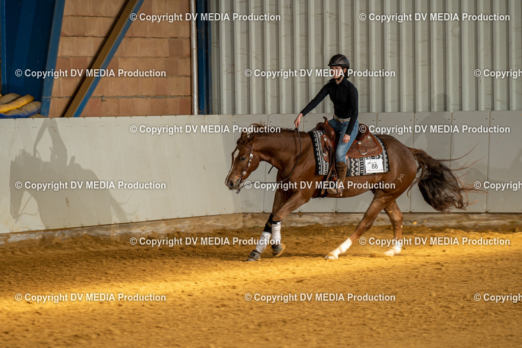 MIT00807 | dv-media-shop - Realisiert mit Pictrs.com