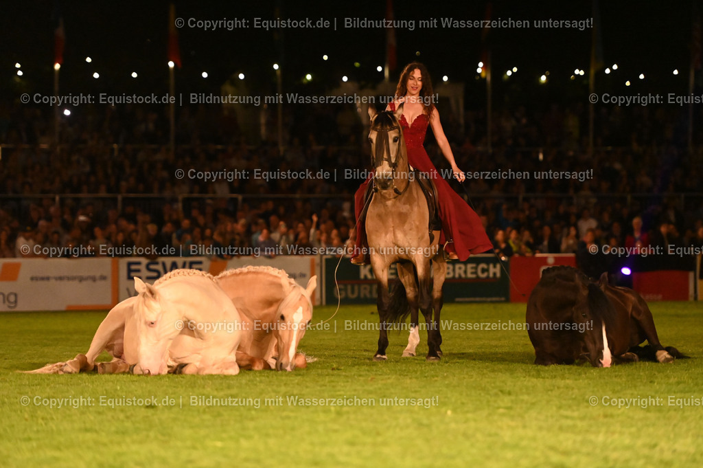 20230526_Pferdenacht_1542 | equistock