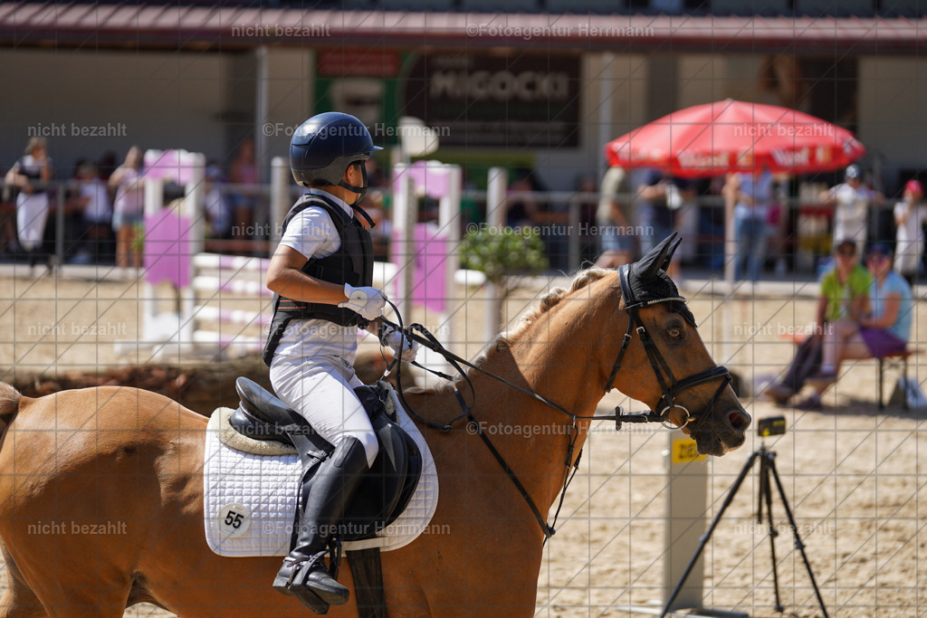 20240824-FAH08175 | Thierhaupten 2024, Bayerisches Landesponyturnier, Turnierbilder, Ponybilder, Turnierfotografen Bayern, Fotoagentur Herrmann