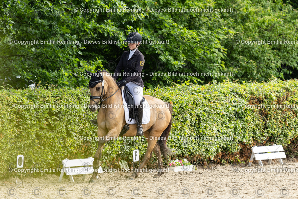 CL5A5341 | Emilia Reinking Fotografie - Realisiert mit Pictrs.com