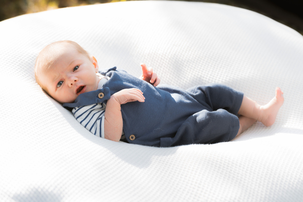 ZD260823180332 | Fotoshop von zweidimensional Fotografie. Ihr Fotograf im Aargau. Abzüge von Ihrem Fotobox Event bestellen.Abzüge von Ihrem Hochzeit bestellen.Abzüge von Ihrem Schulfotograf bestellen.