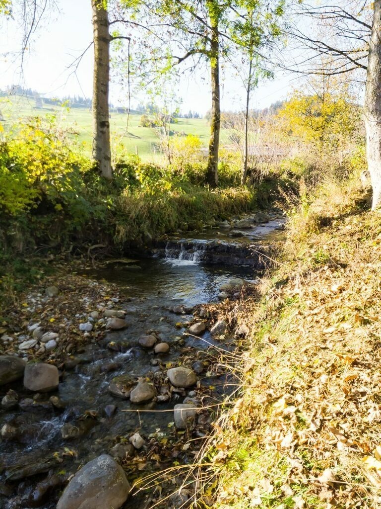 PSX_20211027_221522 | mtkfoto_ - Realisiert mit Pictrs.com