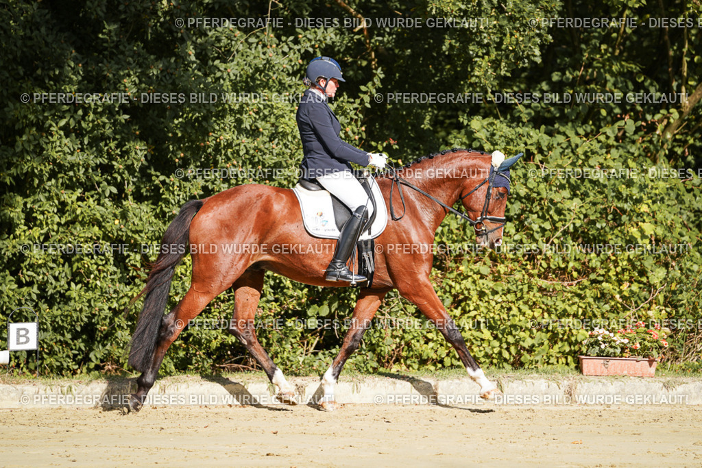 DSC07545 | Pferdegrafie