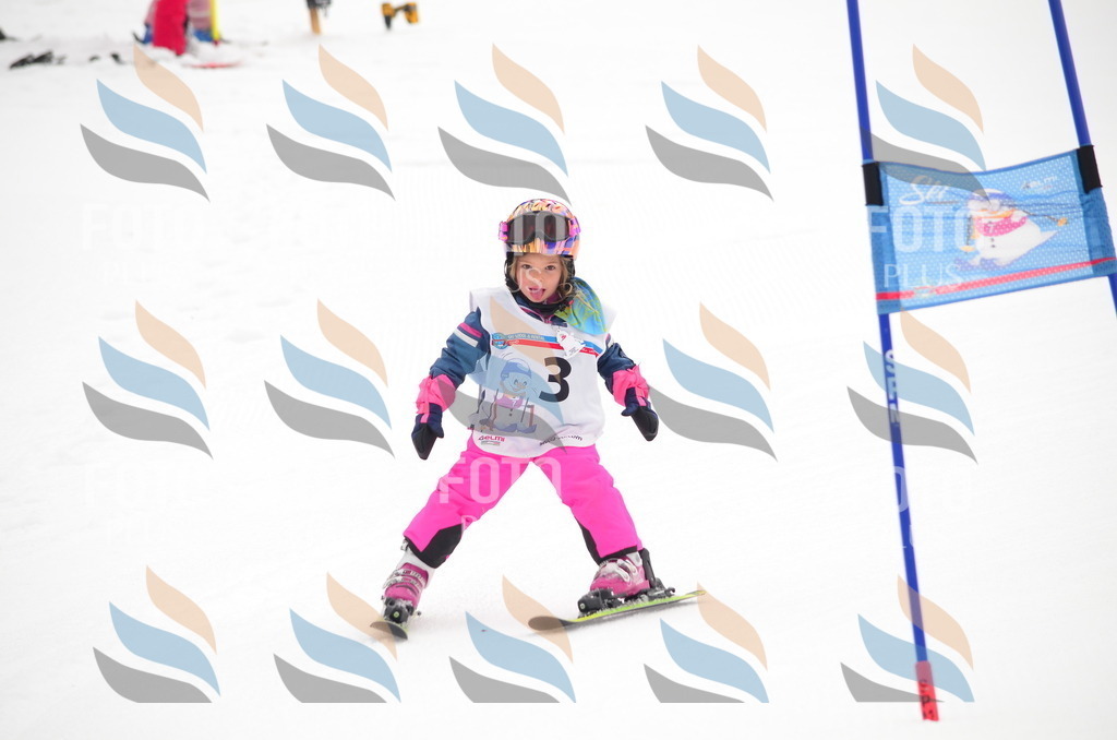 B9202 | holidayphoto