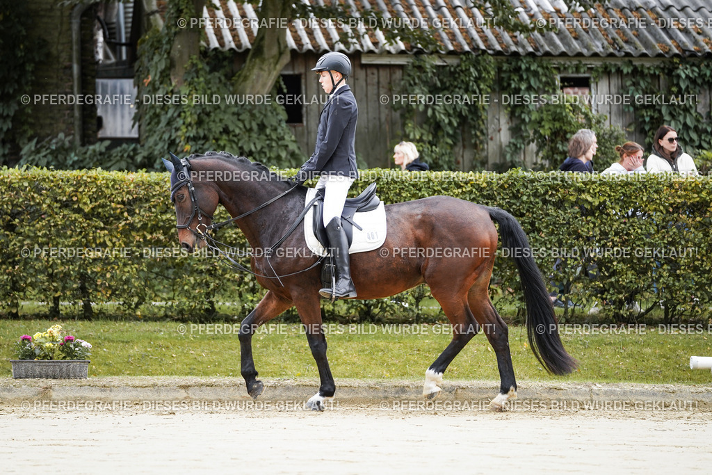 DSC04383 | Pferdegrafie