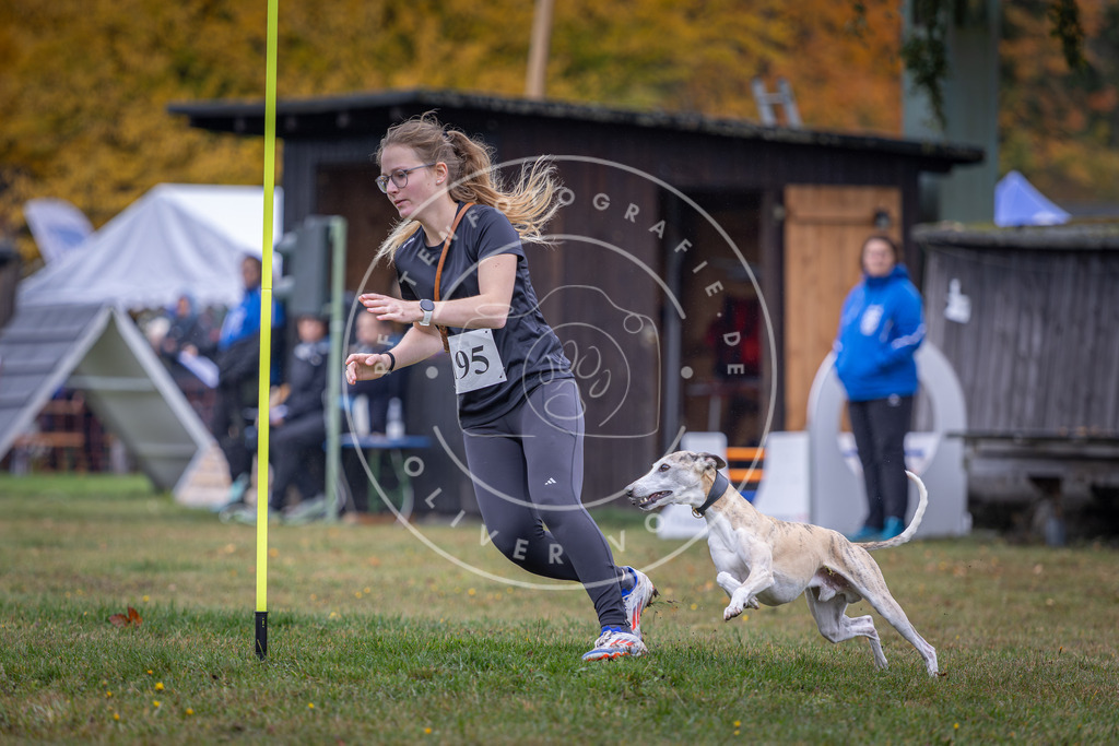 Pfotenfotografie_DV3A0708 | Hundefotografie, Tierfotograf, Pfotenfotografie, Fotoshooting Hund, Hunde Portrait, Hundesport, Hundeportraits, Heideshooting, Hunde, Sportfotograf, Hundefotograf, Turnierhundsport, THS,  - Realisiert mit Pictrs.com