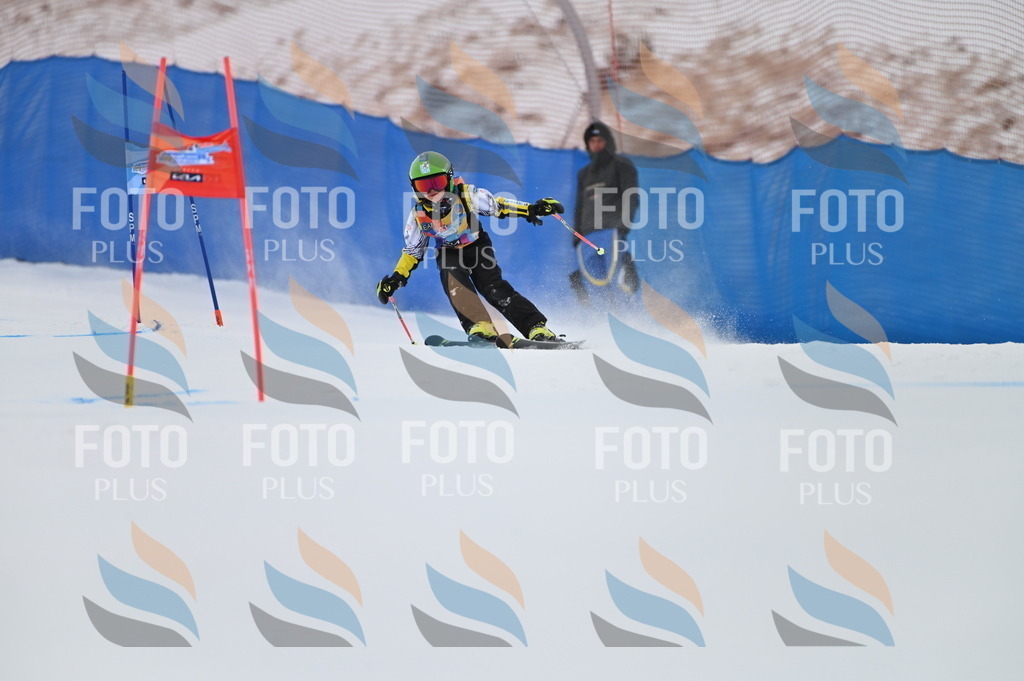 BGV_0558 | holidayphoto