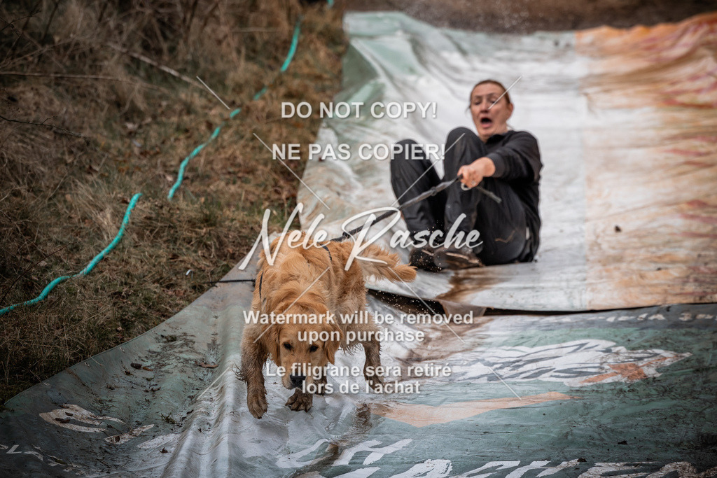 nelerasche_1330-1400_129 | nelerasche