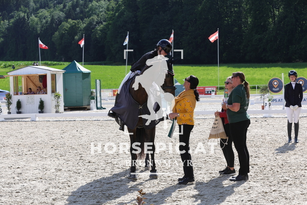 0P6A6669 | Willkommen bei Brunnmayr - Design & Fotografie – Ihrem Spezialisten für Reitturniere und Pferdeveranstaltungen in Oberösterreich, Salzburg und Bayern! Seit über 17 Jahren sind wir leidenschaftlich dabei.