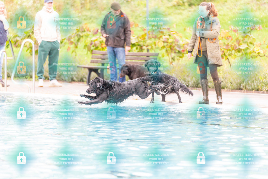 _HP_7235_1000o | HetPix, HetPix Fotodesign, Fotografie, Fotodesign, Webshop, Sportfotografie, Portraitfotografie, Onlineshop, Sportfotografie, Polch, Motorsportfotografie, Eventfotografie