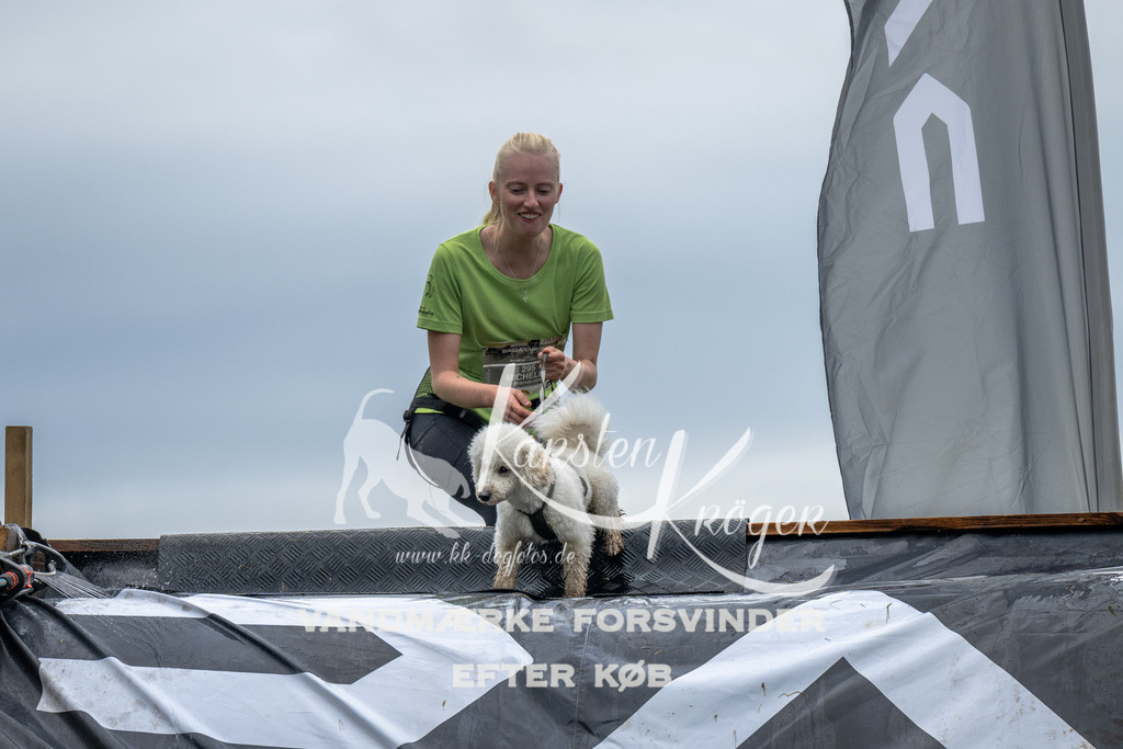 1526_ZZ93391 | kk-dogfotos