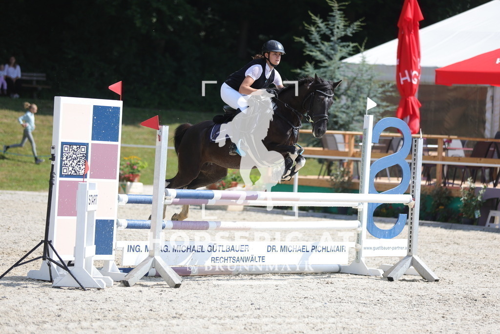 0P6A8306 | Willkommen bei Brunnmayr - Design & Fotografie – Ihrem Spezialisten für Reitturniere und Pferdeveranstaltungen in Oberösterreich, Salzburg und Bayern! Seit über 17 Jahren sind wir leidenschaftlich dabei.