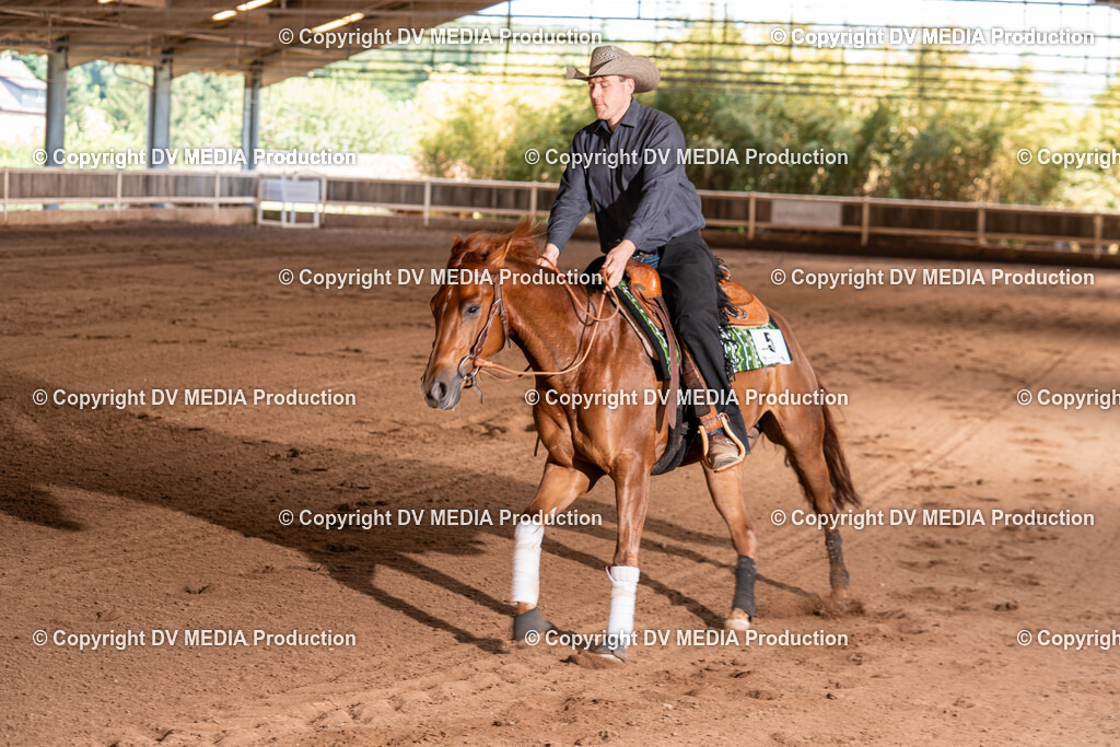 Erbach Tag 2-802 | dv-media-shop - Realisiert mit Pictrs.com