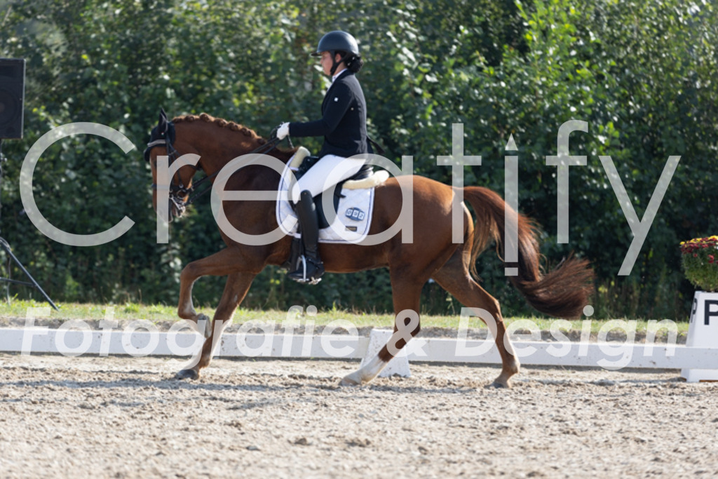 IMG_2513 | Creatify Fotografie