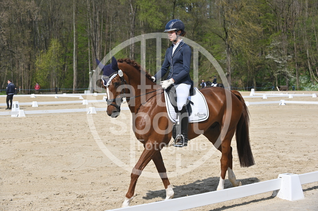 DSC_1119 | sattelsport - Realisiert mit Pictrs.com